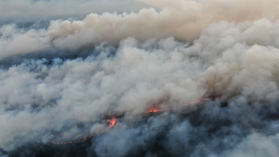 В Якутии площадь лесных пожаров составила 1,5 млн га