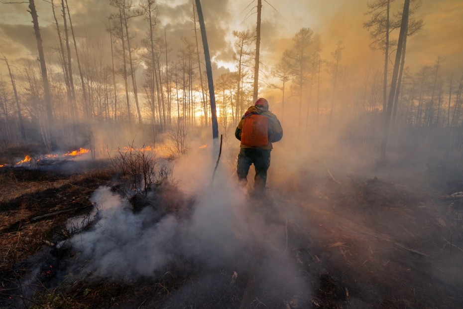 В Якутии за последние сутки появилось 22 лесных пожара на общей площади 4,5 тысяч гектаров
