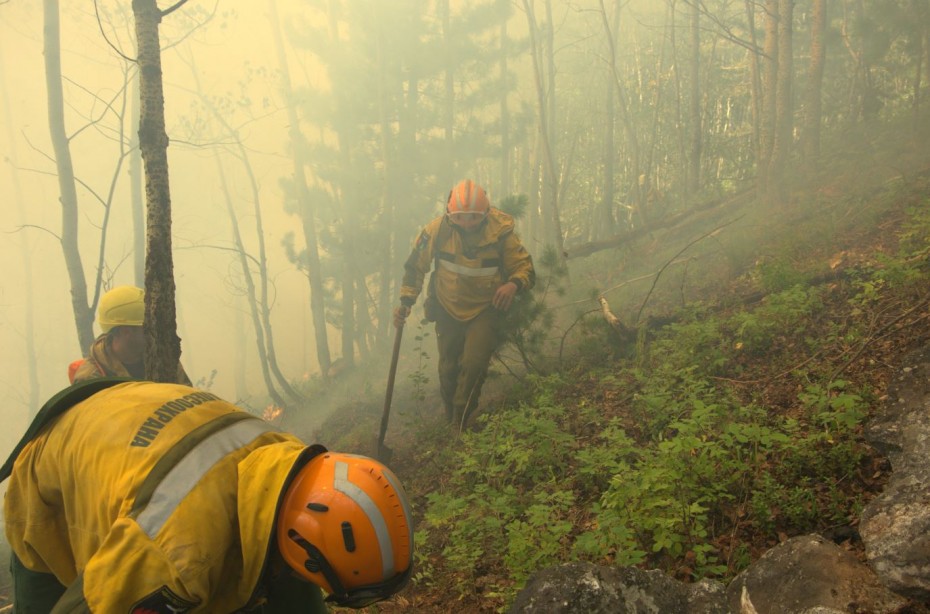 В Якутии с начала пожаров, по данным на 23 июля, сгорело более 2,74 млн гектаров леса