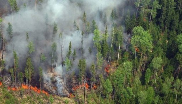 В Якутии горит более 1 млн гектаров леса