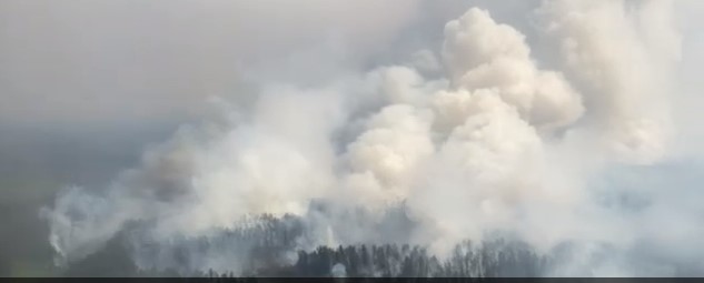 Площадь лесных пожаров в Якутии превысила 6 миллионов гектаров