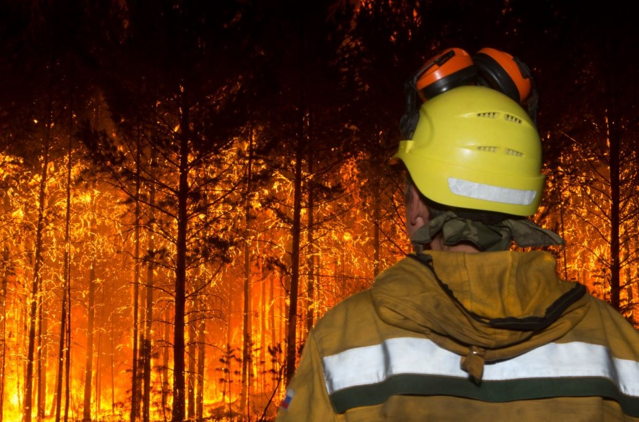 Площадь сгоревших в Якутии лесов приближается к 10 млн га