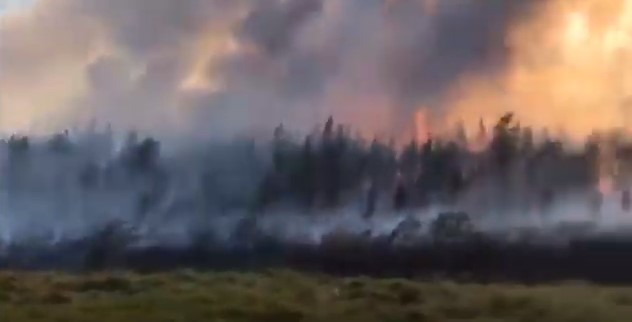 В Якутии действует 50 природных пожаров 