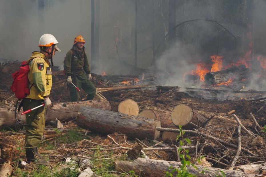 В Якутии искусственные дожди Авиалесоохраны помогли в тушении 136 лесных пожаров