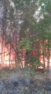 В Якутии площадь сгоревшего леса приближается к 6 млн гектар