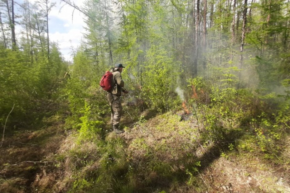 В Якутии действует 39 лесных пожаров 
