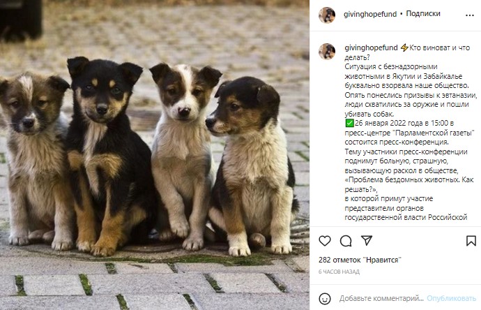 Российские звезды соберутся на пресс-конференцию по "собачьему вопросу" 