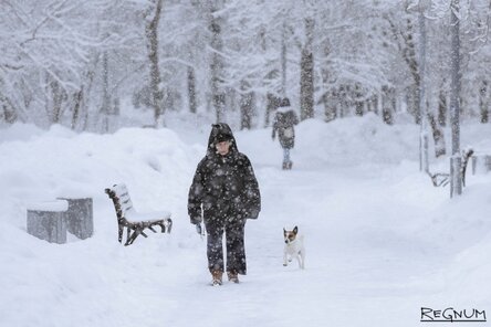 Петербург обновил рекорд по выпавшему снегу