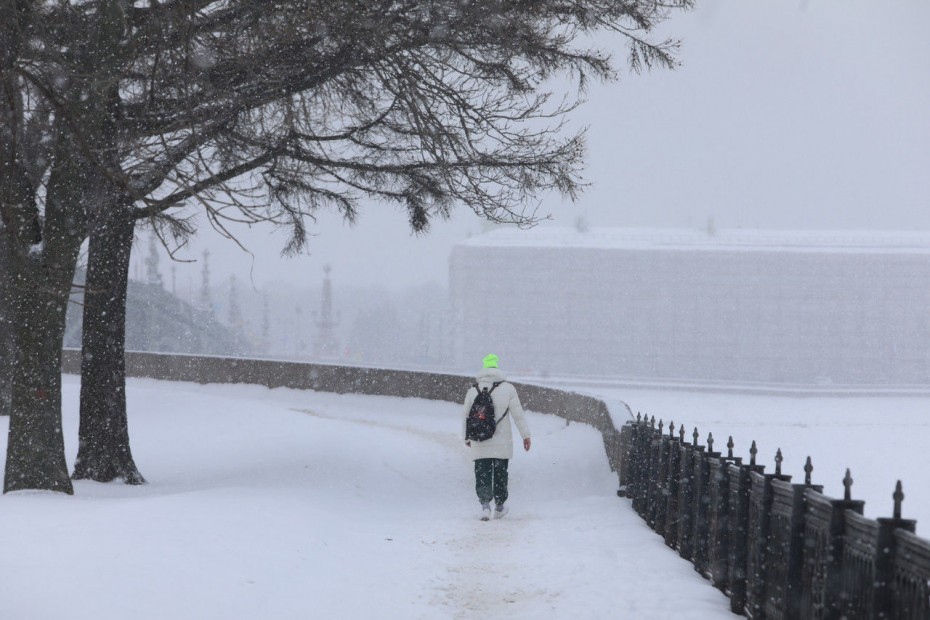 В МЧС предупредили петербуржцев о снегопаде и сильном ветре в воскресенье