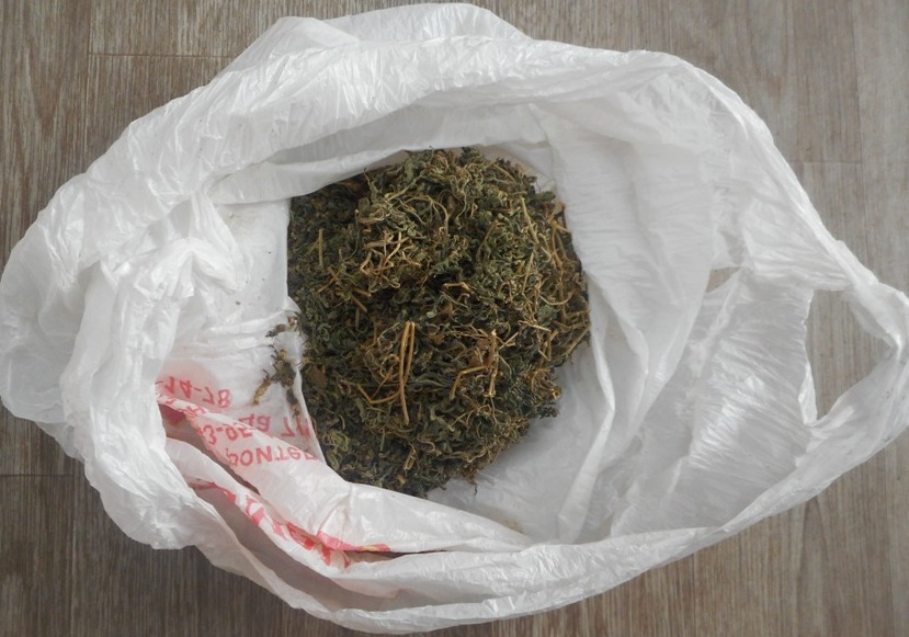 В Якутии направлено в суд уголовное дело по факту незаконного приобретения и хранения марихуаны