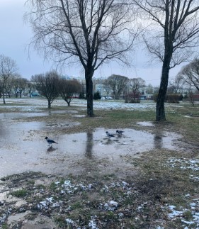 В Петербурге ожидается похолодание 