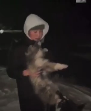 В якутском поселке девушка выкинула щенка в овраг и сняла это на видео ВИДЕО 18+