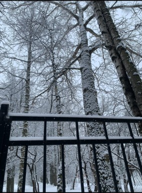 Морозы до -5 градусов ожидаются в Петербурге 7 марта