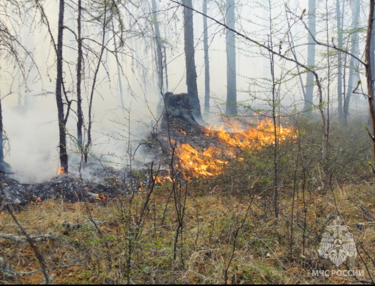 На территории Центральной Якутии установлен пожароопасный сезон