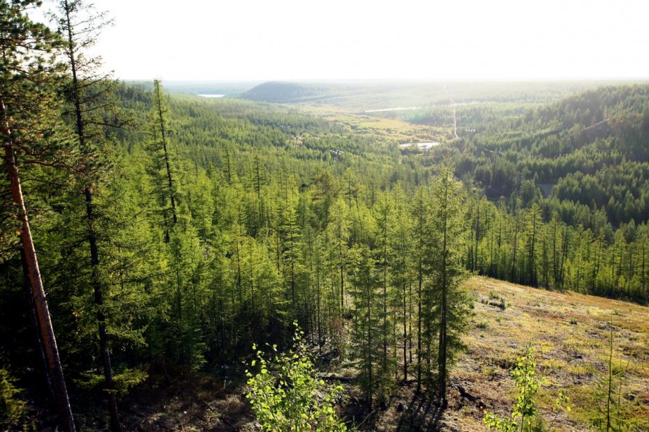 В Якутии тушат двух лесных пожара 