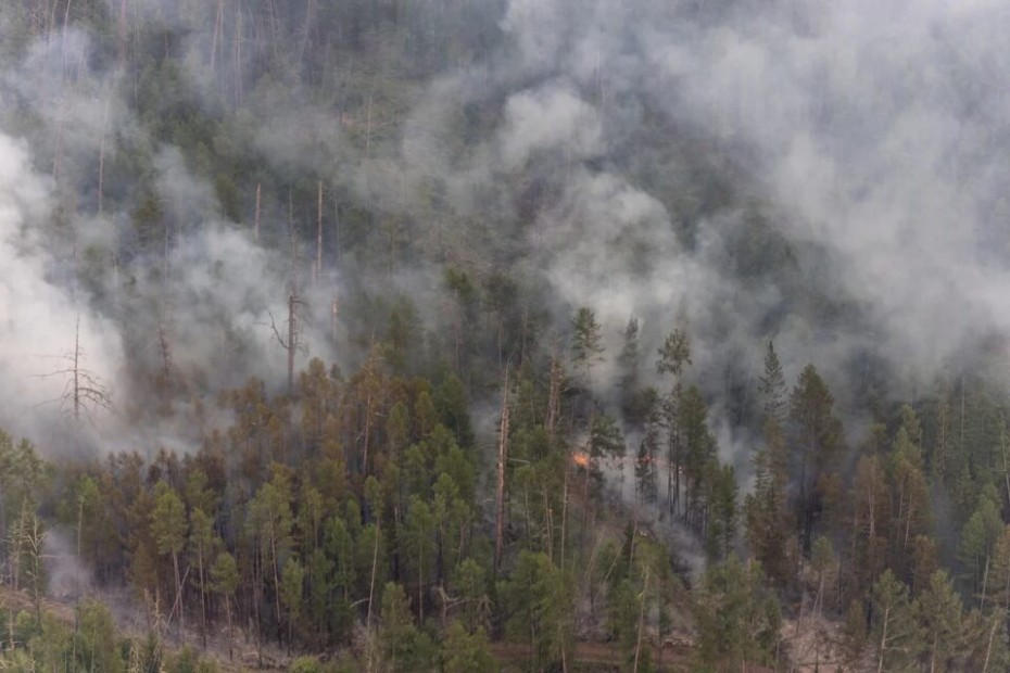 В Якутии тушат два лесных пожара