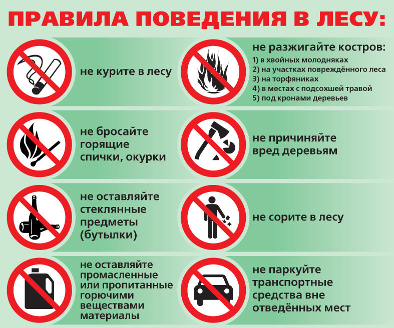 Якутян предупредили об ответственности за нарушение правил пожарной безопасности в лесу