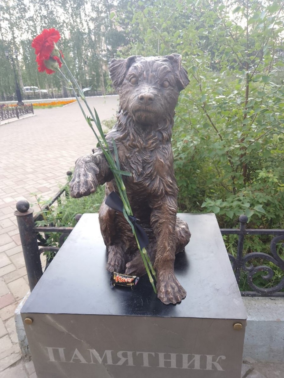 В городе Мирном в Якутии установили памятник бездомному псу Филе 