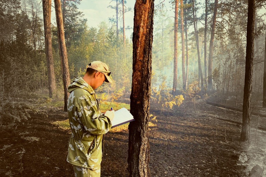 Жители Якутии могут получить до 50 тысяч рублей за информацию о виновниках пожаров