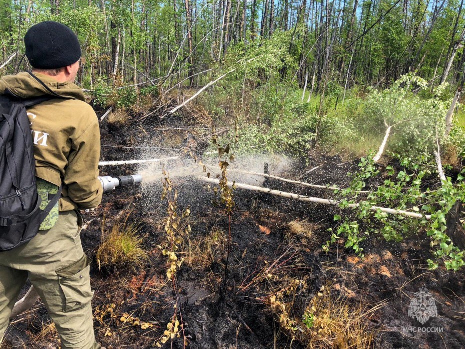 На территории Якутии действует 68 природных пожаров