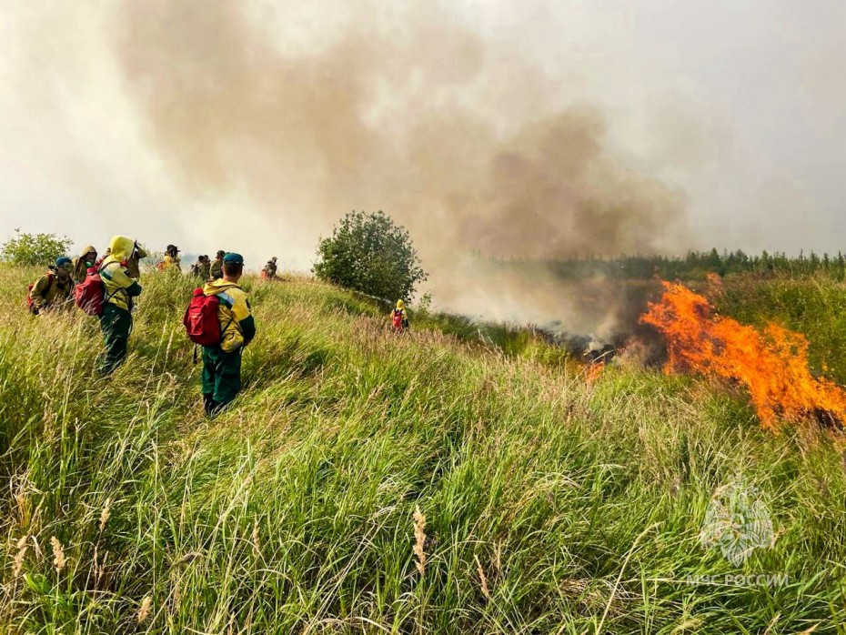 На всей территории Якутии действует режим ЧС из-за лесных пожаров 