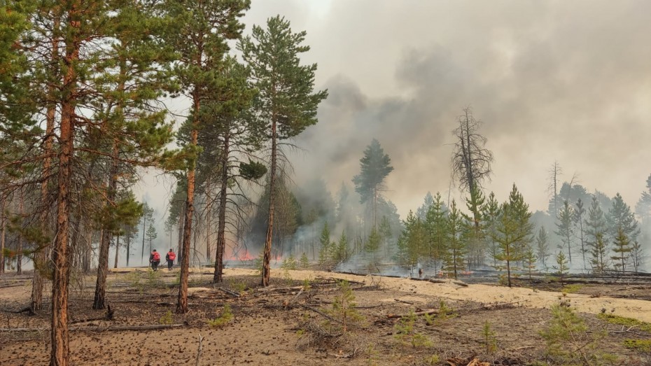 В Якутии зарегистрировано более 800 природных пожаров 