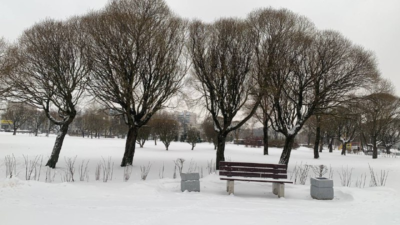 «Оранжевый» уровень погодной опасности из-за холодов в Петербурге продлен до 5 января  