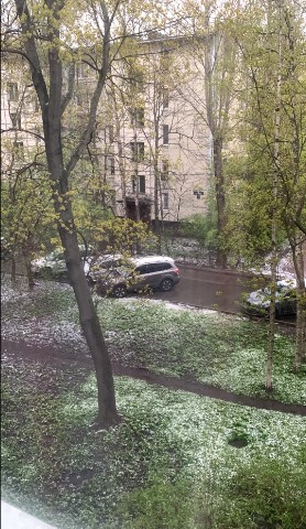 В Петербурге на майские выходные ожидается похолодание 