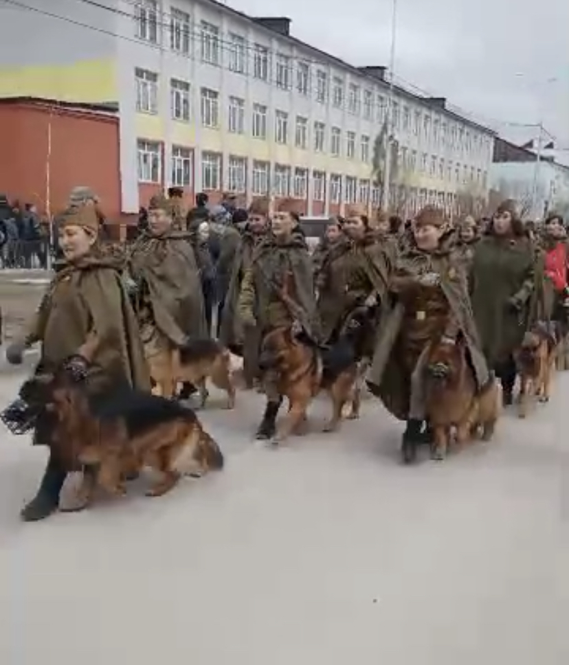 В Якутске в День Победы прошли показательные выступления собак 