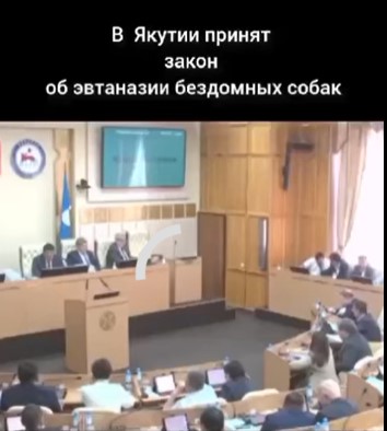 В Якутии депутаты аплодисментами встретили закон, позволяющий убивать бездомных собак 