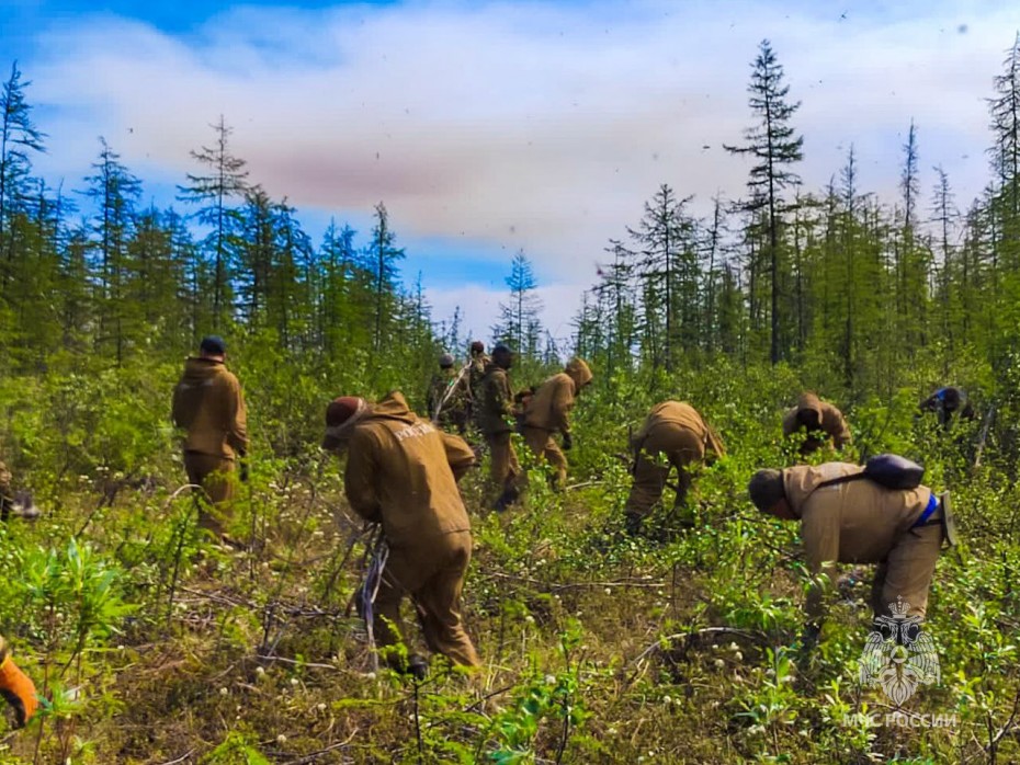 В Якутии лесные пожары тушат 1,5 тысячи человек 